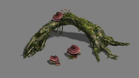 Plant - dead tree 2