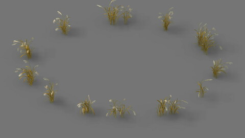 Plant - Reed 01