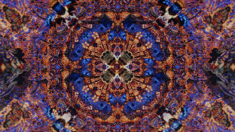 Don't you ever let them stand in your way