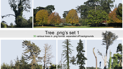 PNG photopack Trees vol. 1
