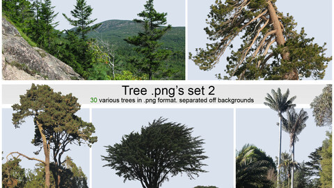 PNG photopack Trees vol.2