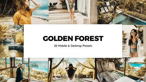 20 Golden Forest LUTs and Lightroom Presets