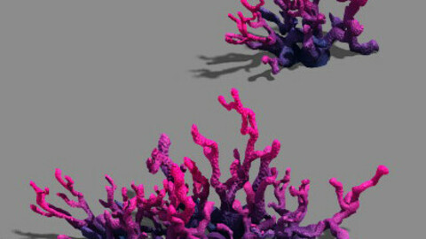 Plant - pool - aquatic plants