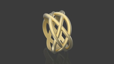 braided pattern ring 3D print model