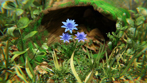 BLENDER: The blue Flowers scene + 3D model + texture (NOT A TUTORIAL)
