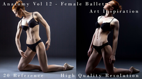 Anatomy Vol 12 - FeMale Ballet - Art Inspiration