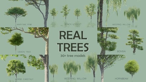 Real Trees Pack