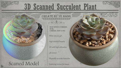 3D Scanned Succulent Plant - 01
