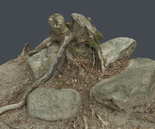 ArtStation - Broken tree_0006(Photogrametry.Photoscan.obj,Photo ...