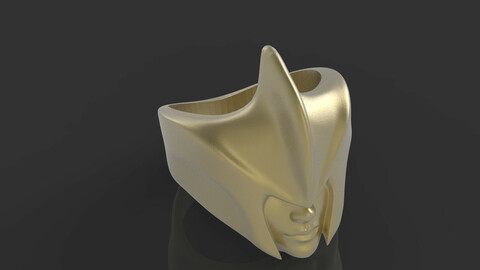 Helmet ring 3D print model