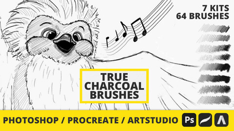 True Charcoal Brushes (64 Traditional Brushes) for Photoshop - Procreate - Artstudio Pro