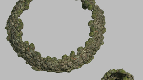 Mountain - moss - rocks 11