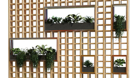 partition plant in box set 042