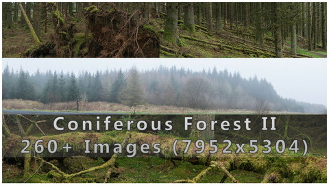 Coniferous Forest II Photopack - 260+ Images