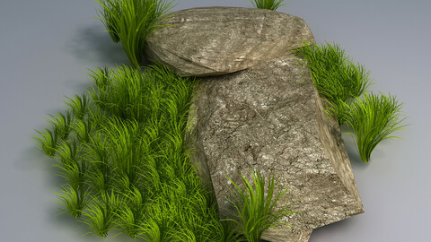 Brushwood - Gravel 05