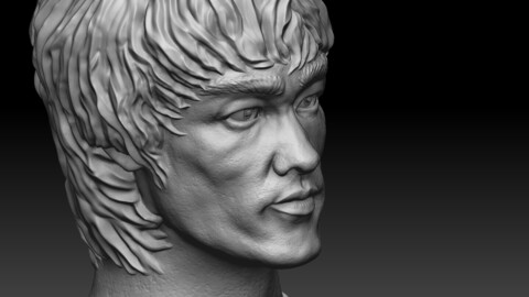 Bruce Lee.Bust.