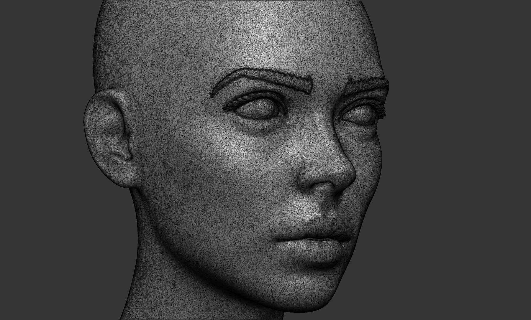 ArtStation - Female Bust with Hair | Resources