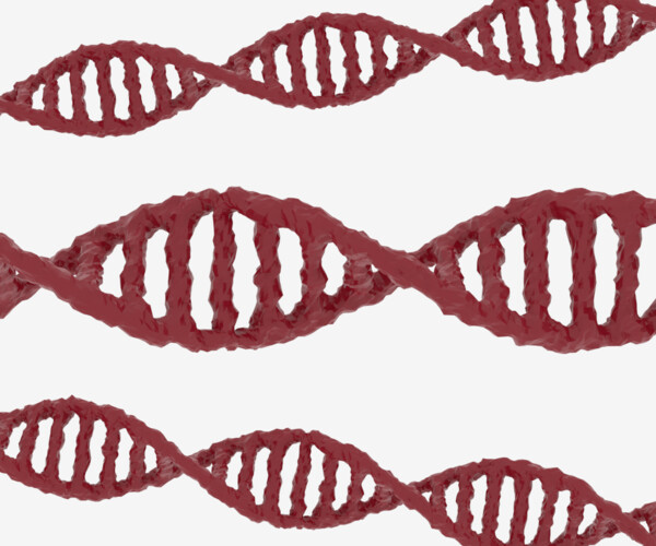 ArtStation DNA 3D Model Resources