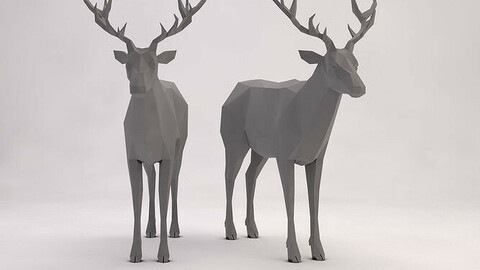 Deer 3d