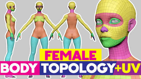 Full Female Body topology and UV map