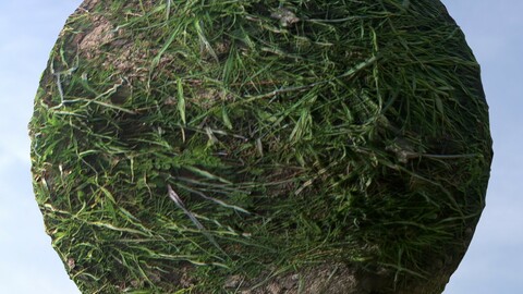 Dirt Grass 6 PBR Material