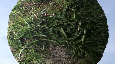 Dirt Grass 8 PBR Material