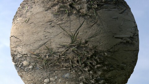 Dirt Grass 9 PBR Material