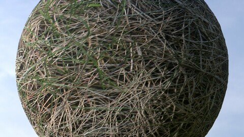 Dry Grass 3 PBR Material