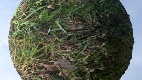 Grass 6 PBR Material