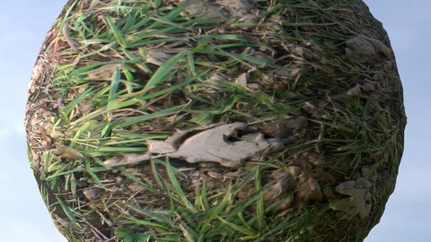 Grass 7 PBR Material