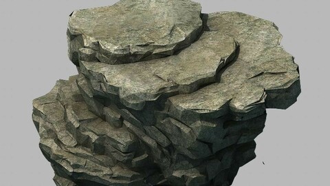 Wild - rock 1101