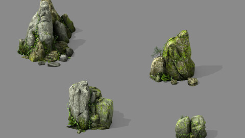 Covered with moss - stone 02