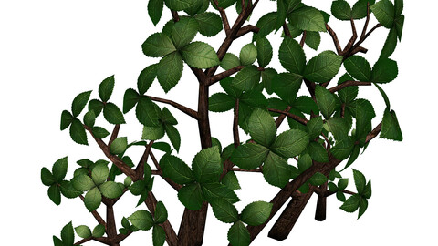 Grass Temple Village - special plant 02