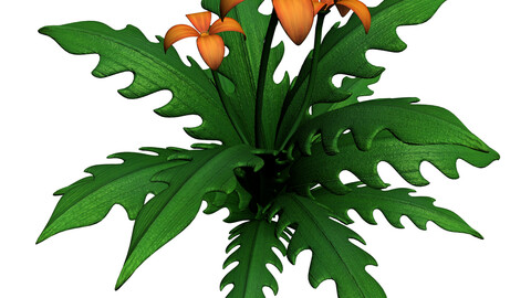 Grass Temple Village - special plant 03