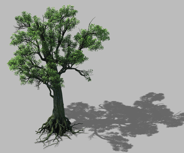 ArtStation - Big tree 1101 | Resources
