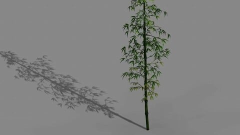 Dazhu Feng - black knot bamboo 01