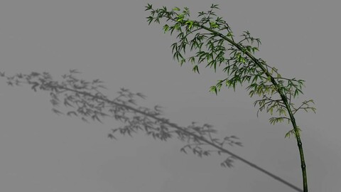 Dazhu Feng - black knot bamboo 04