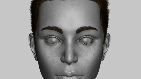 Female Head (Zbrush Model)