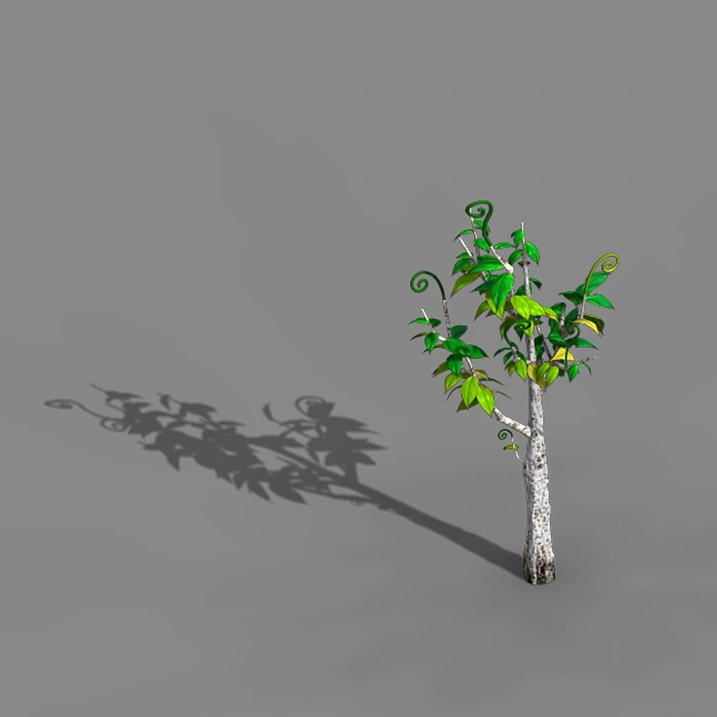 Дерево дуб 3д модель. Two trees sk1. Глядючее дерево. Большое дерево. Дерево туториал.