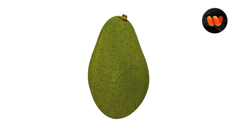 Avocado - Extreme Definition 3D Scanned Model
