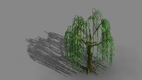 River Yang City - willow 01