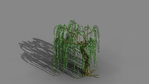 River Yangcheng - willow 02