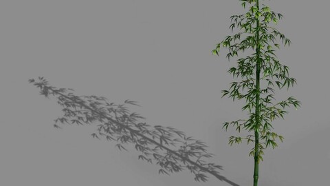 Heyang suburbs - bamboo 01