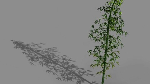 Heyang outskirts - bamboo 02