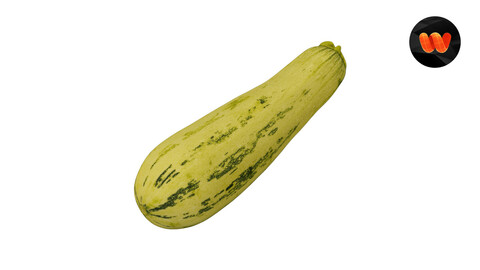 Zucchini Cucurbita pepo - Extreme Definition 3D Scanned Model