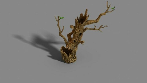 Fox Mountain - Crescent Spring - Tree 01