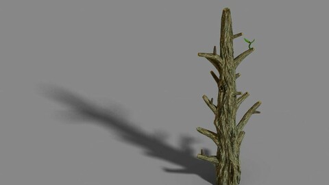Fox Mountain - Crescent Spring - Tree 02
