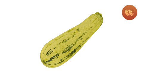 Zucchini Cucurbita pepo - Real-Time 3D Scanned Model