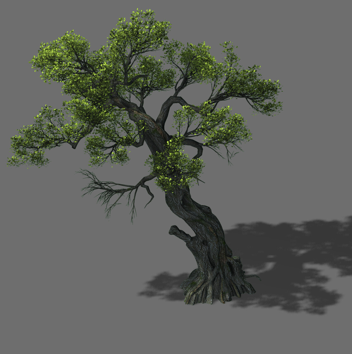 ArtStation - Huashan - plant - tree 05 | Game Assets