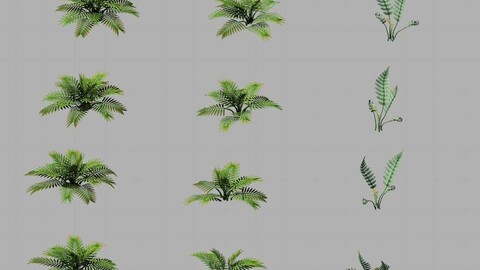 Huashan - plants - weeds